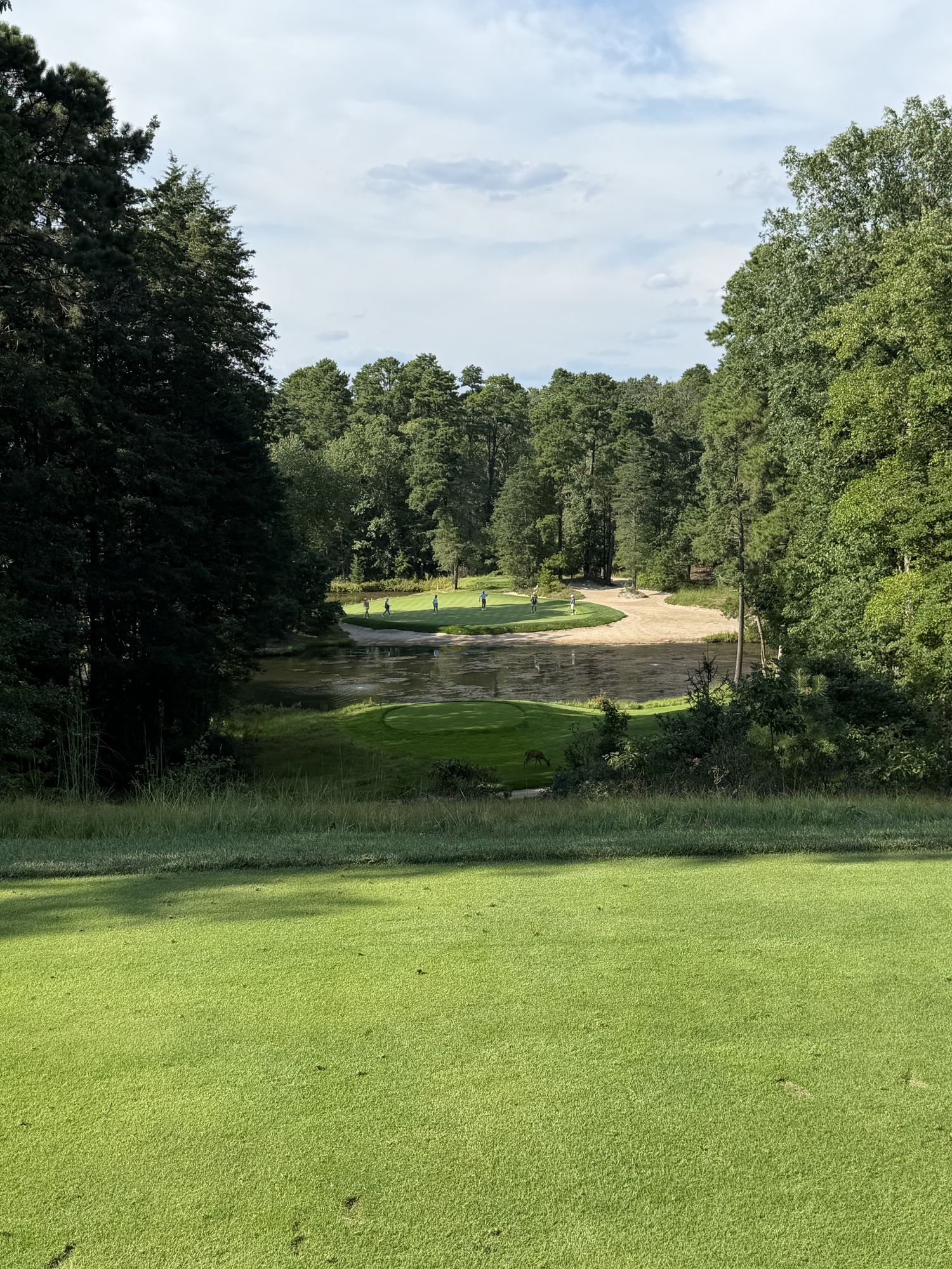 Pine Valley Golf Club, Pine Valley, New Jersey